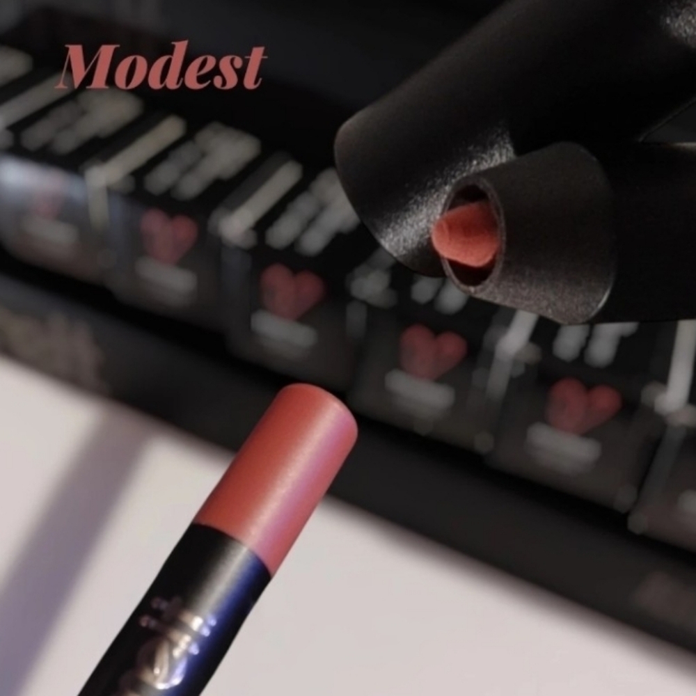 Melt Cosmetics Allday Everyday Lipliner MODEST Ultra Mate Makeup Beauty New